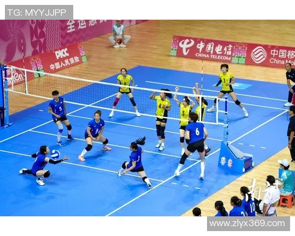 上海排球队的节奏揭秘：从训练到比赛的精彩瞬间与背后故事