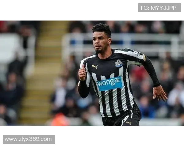 哈德斯与狼队对决前瞻分析及胜负预测详解